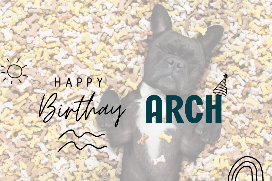 Happy first anniversary to Arch, a dog food and treat brand committed to quality, inclusivity, and sustainability. 