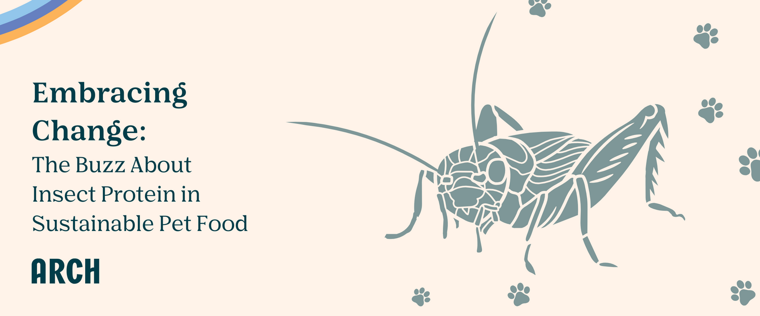 Embracing Change: The Buzz About Insect Protein in Sustainable Pet Food