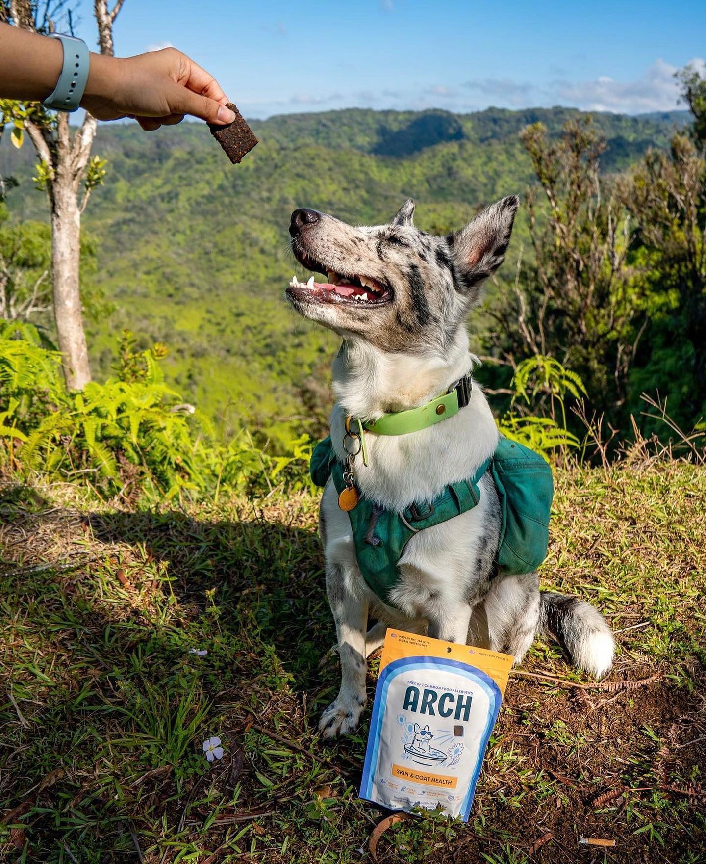 Arch Pet Food