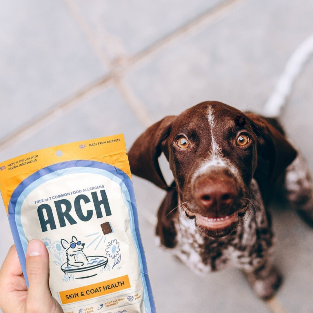 Arch Pet Food